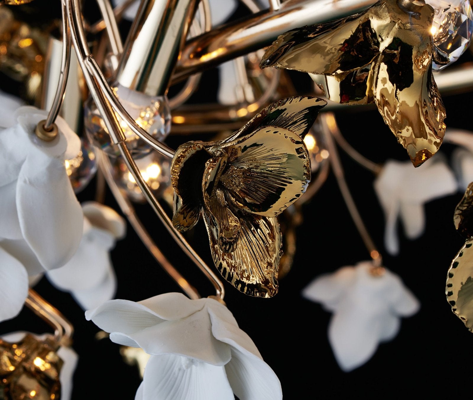 Flora Lux Eternis