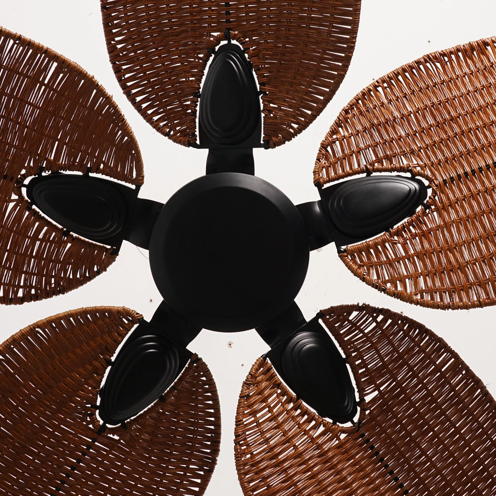 Raven Ceiling Fan | 50W BLDC Motor | 1320mm | Copper Iron Body