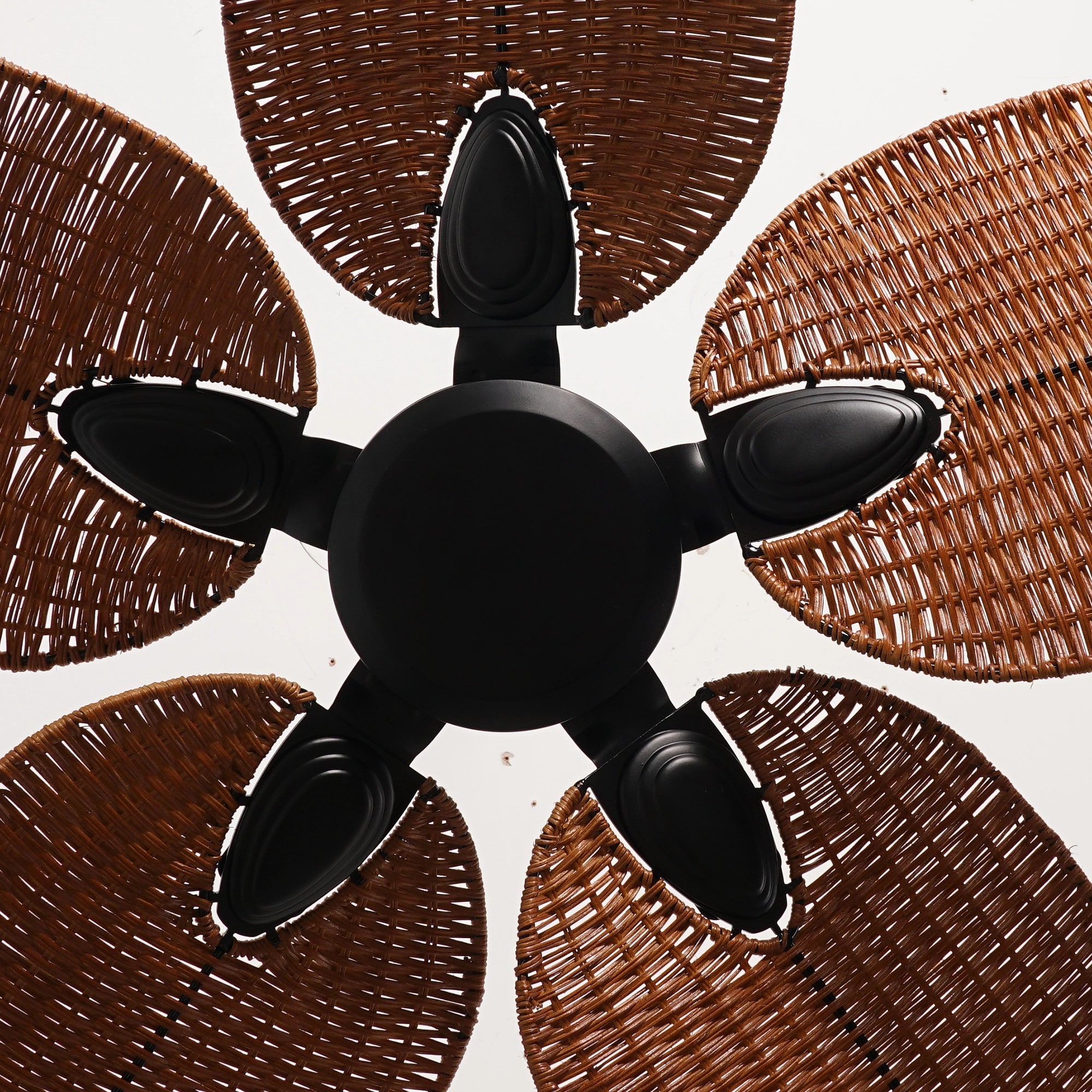 Raven Ceiling Fan | 50W BLDC Motor | 1320mm | Copper Iron Body