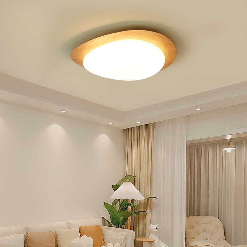 Shell & Yolk Acrylic Ceiling Lamp