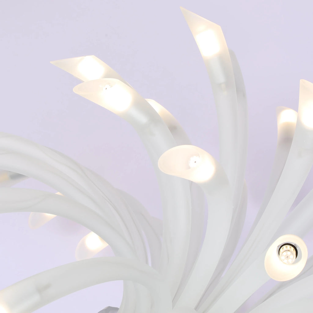 Spring of Luminescence