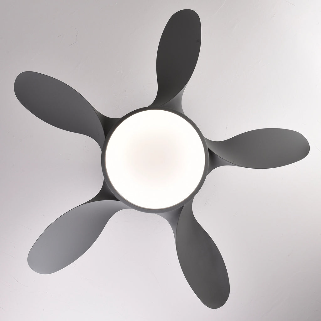 Sunbird Underlight LED Ceiling Fan | 40W BLDC Motor | 42 inch Fan