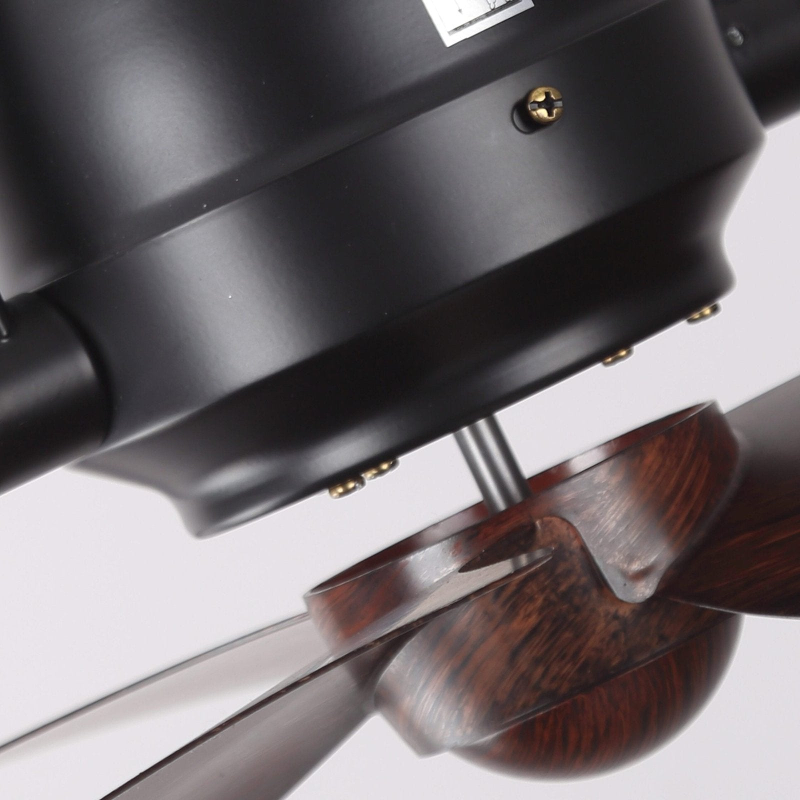 Toucan Ceiling Fan | 15W BLDC Motor | ABS Body | Metal Frame