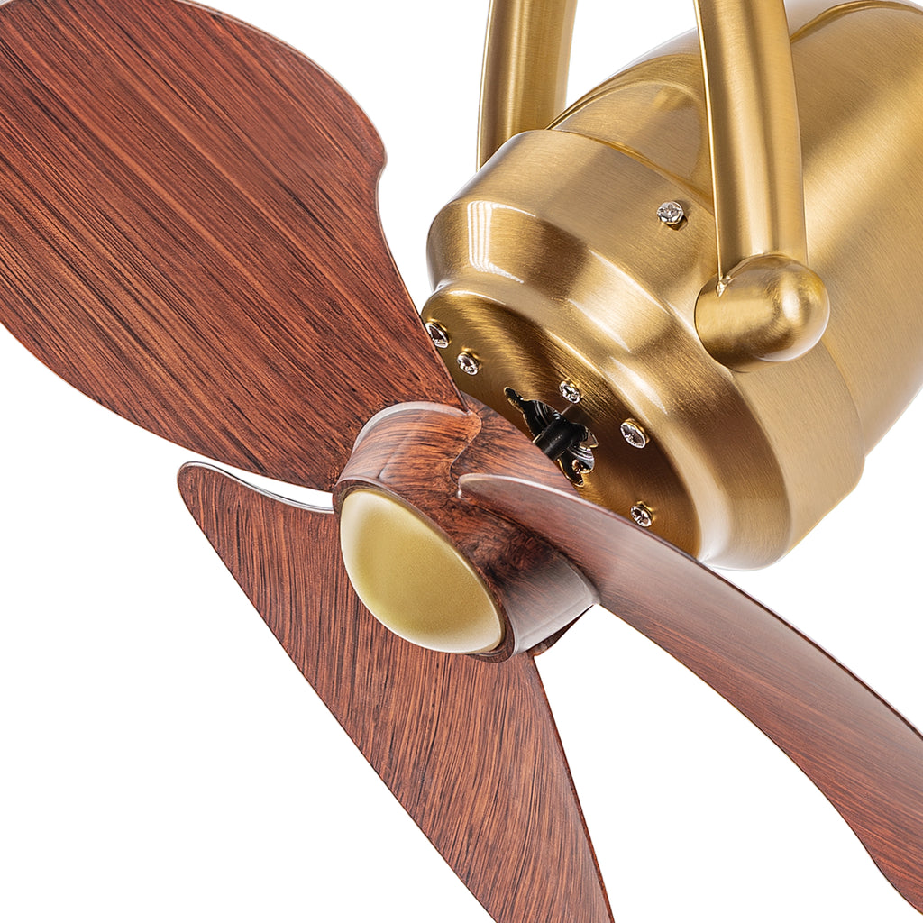 Toucan Golden Wall Mounted Fan | 15W BLDC Motor | ABS Body
