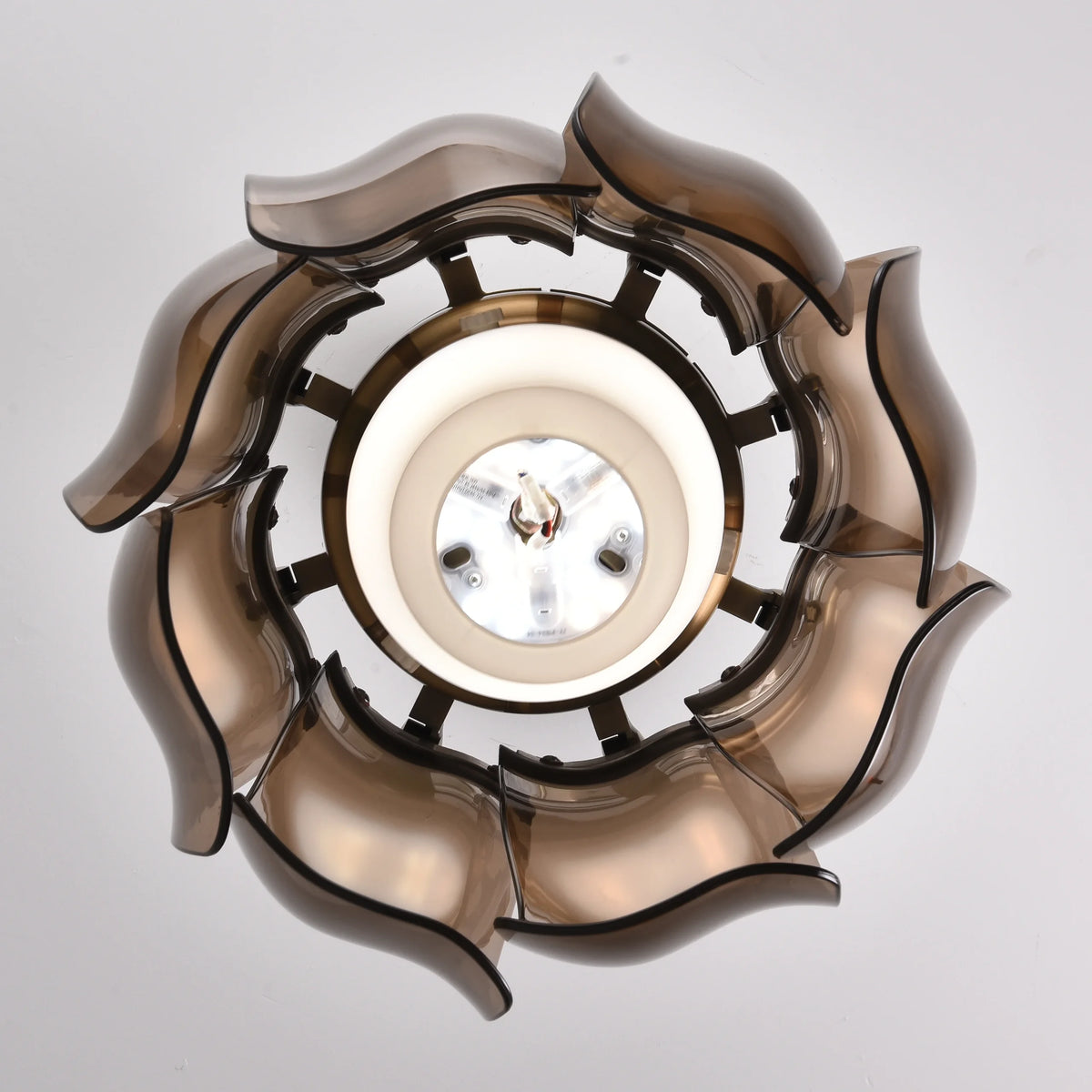 Dodo (With lamp) Ceiling Fan | 40W BLDC Motor | Acrylic Body