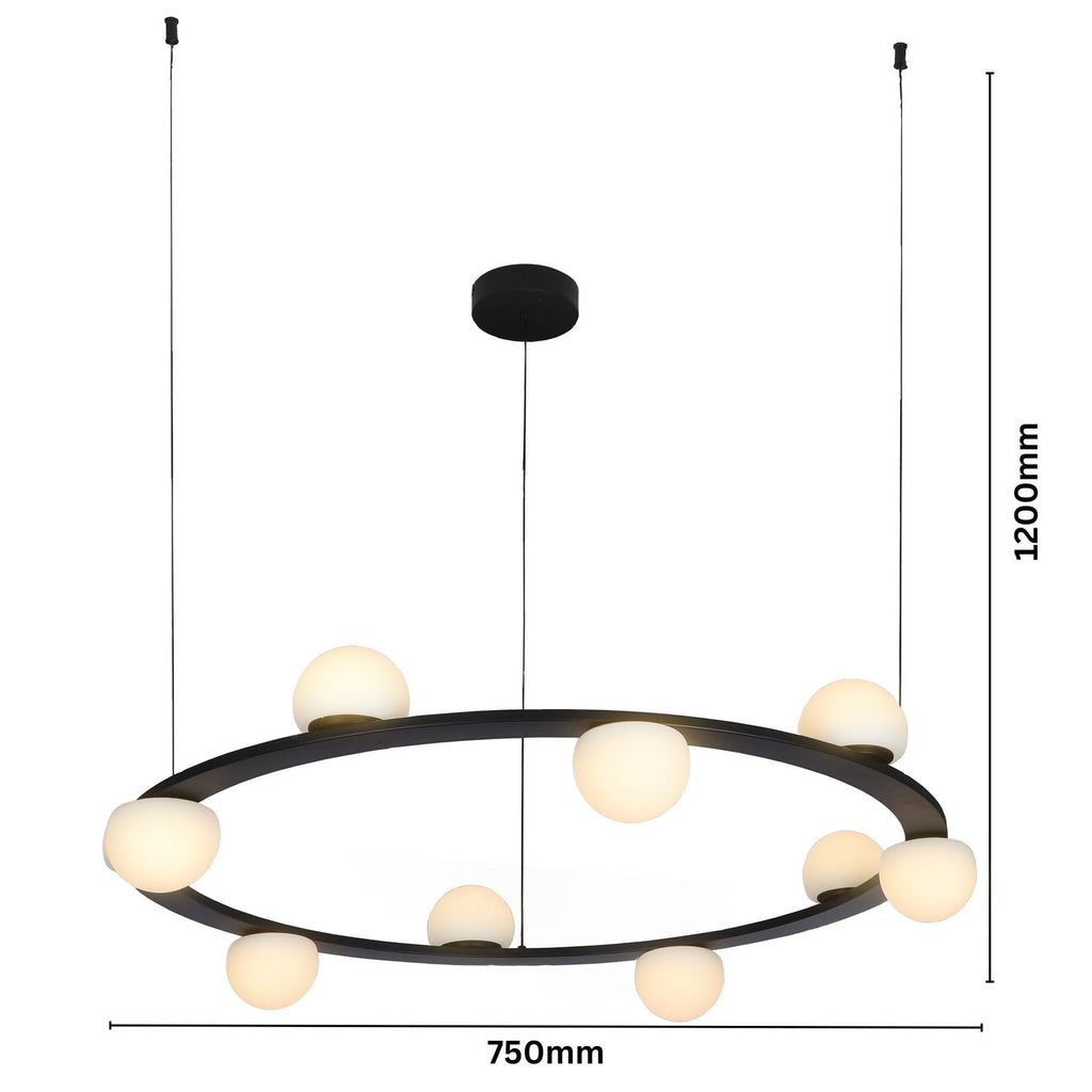 Orbits of Luminous Grace