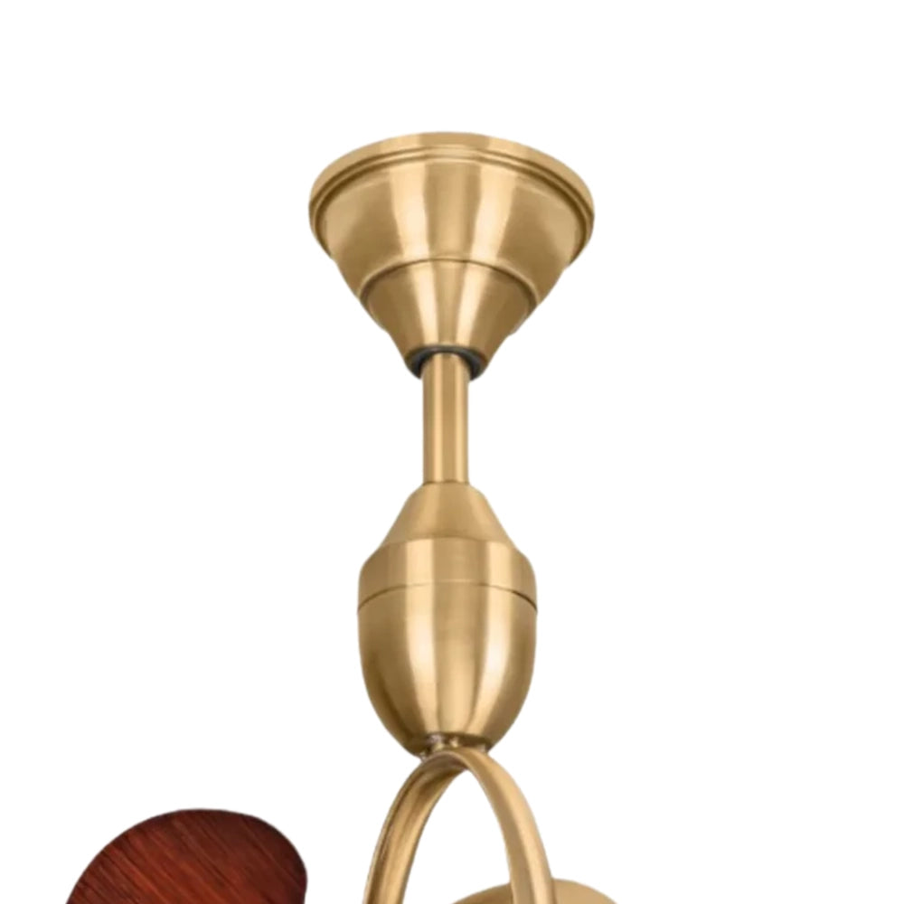 Toucan Golden Ceiling Fan | 15W BLDC Motor | ABS Body | Metal Frame