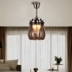 Dodo (With lamp) Ceiling Fan | 40W BLDC Motor | Acrylic Body