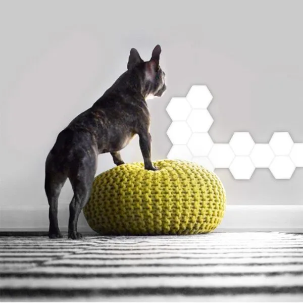 Sensi Touch Hexa -18