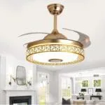 Gold finch (with Lamp & Bluetooth Speaker) Ceiling Fan