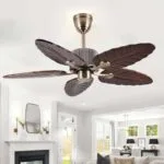 Macaw Brown Ceiling Fan luxury lighting home decor store india