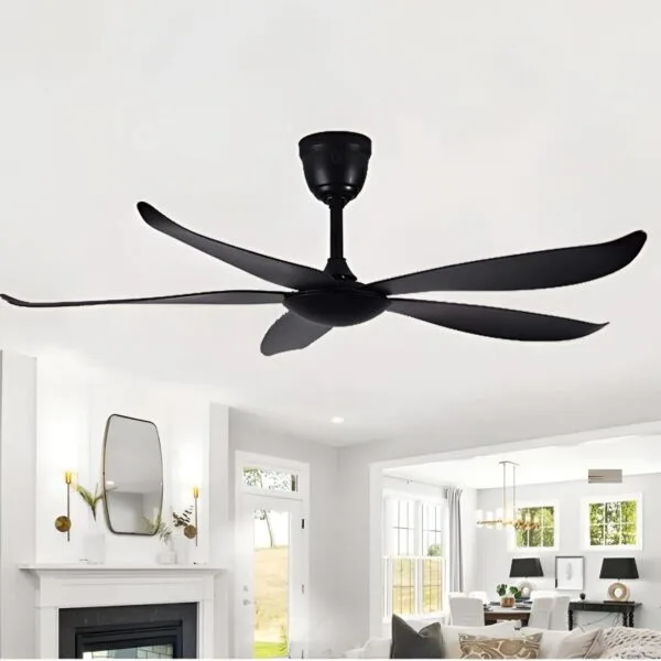Magpie Black Ceiling Fan luxury lighting home decor store india