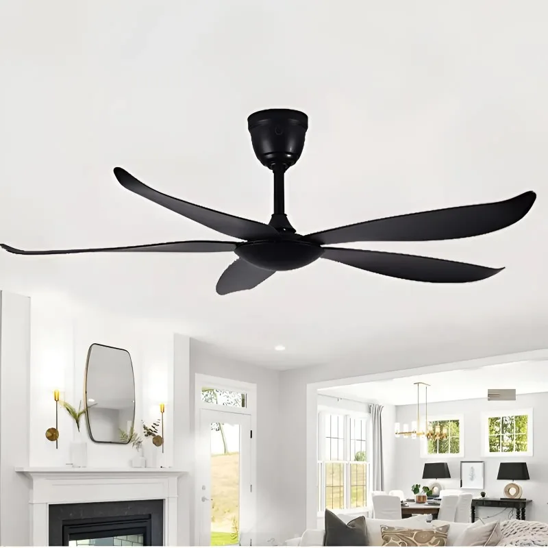 Magpie Black Ceiling Fan luxury lighting home decor store india
