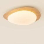 Shell & Yolk Acrylic Ceiling Lamp luxury lighting home decor store india