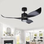 Whimberl Black Ceiling Fan