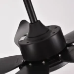 falcon V Moonlight Black-4