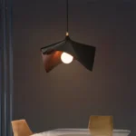 Light Through Graceful Folds