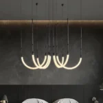 Light through Elegant Silhouettes-5