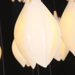 Harmony Among Lights-2