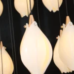 Harmony Among Lights-4