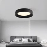 Astra Ultra-Thin Remote Ceiling Light -1