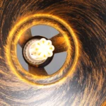 Rustica Horizon Vintage-6