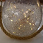 Firefly Solar Jar Light