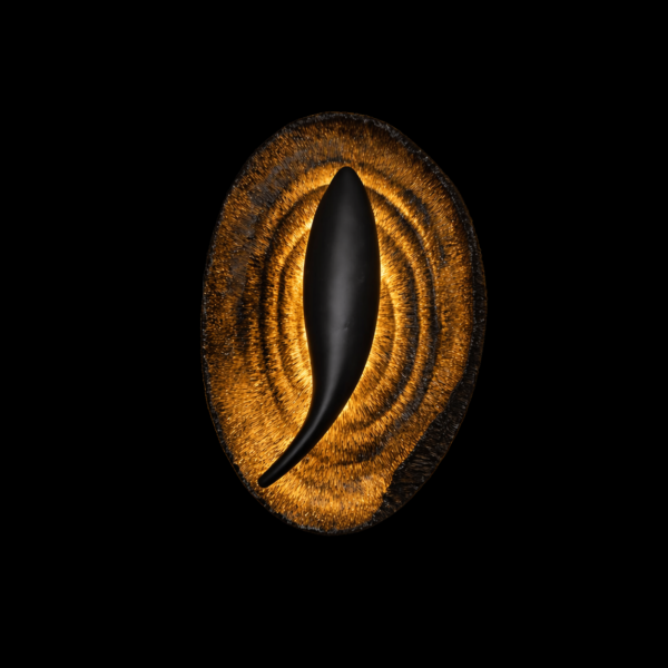 Obsidian Vortex Ember Disc Wall Light