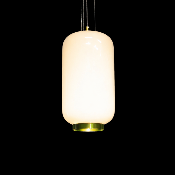 Orvella HaloDome Pendant Light(C)